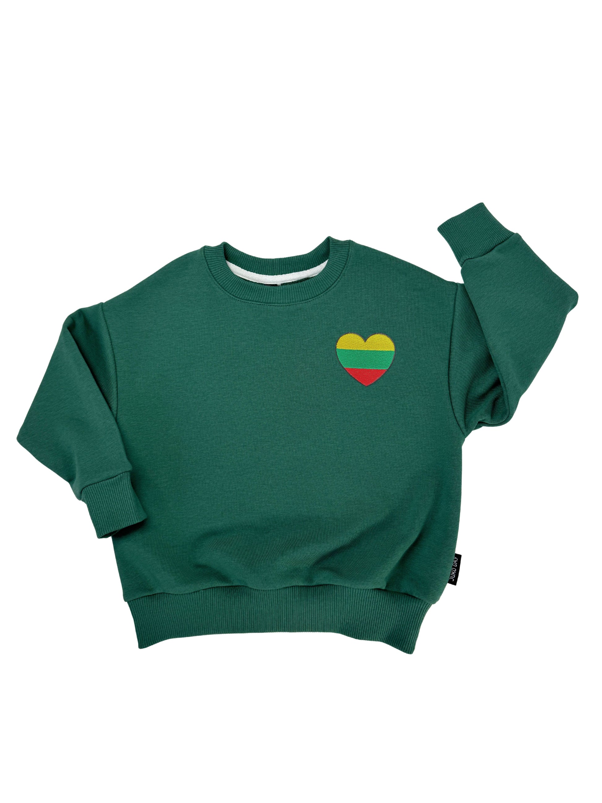 vaikiškas džemperis su trispalve, džemperis vaikui Lietuva